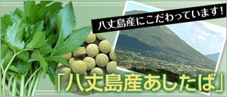 Ȭ���绺��������