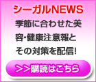����˹�碌�����ơ���������Ȥ����к����ۿ��� ������������쥯�� �᡼��ޥ�����